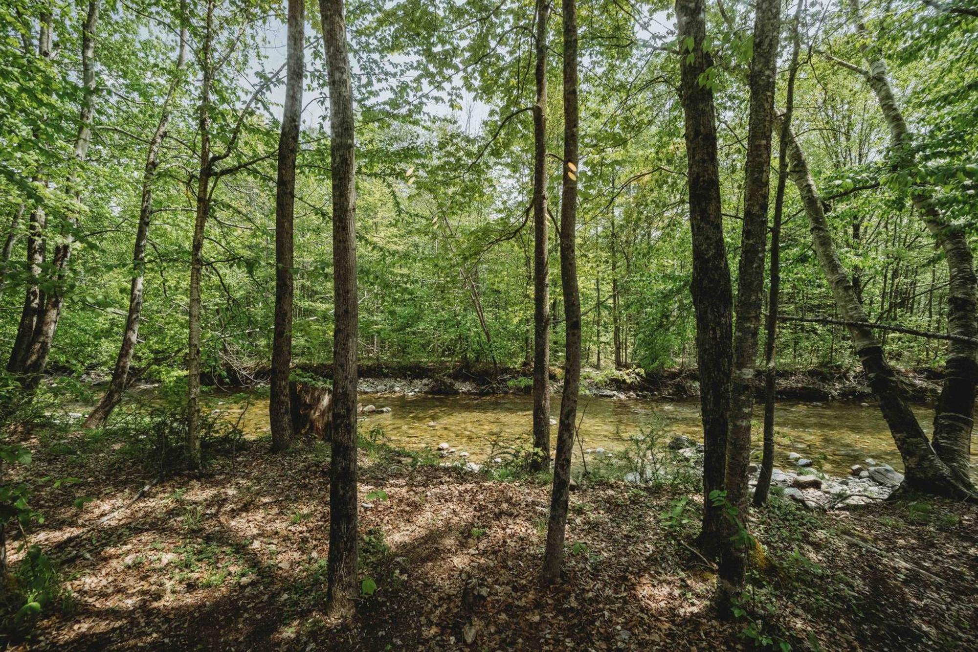 Lumen Nature Retreat Вудсток Номер фото